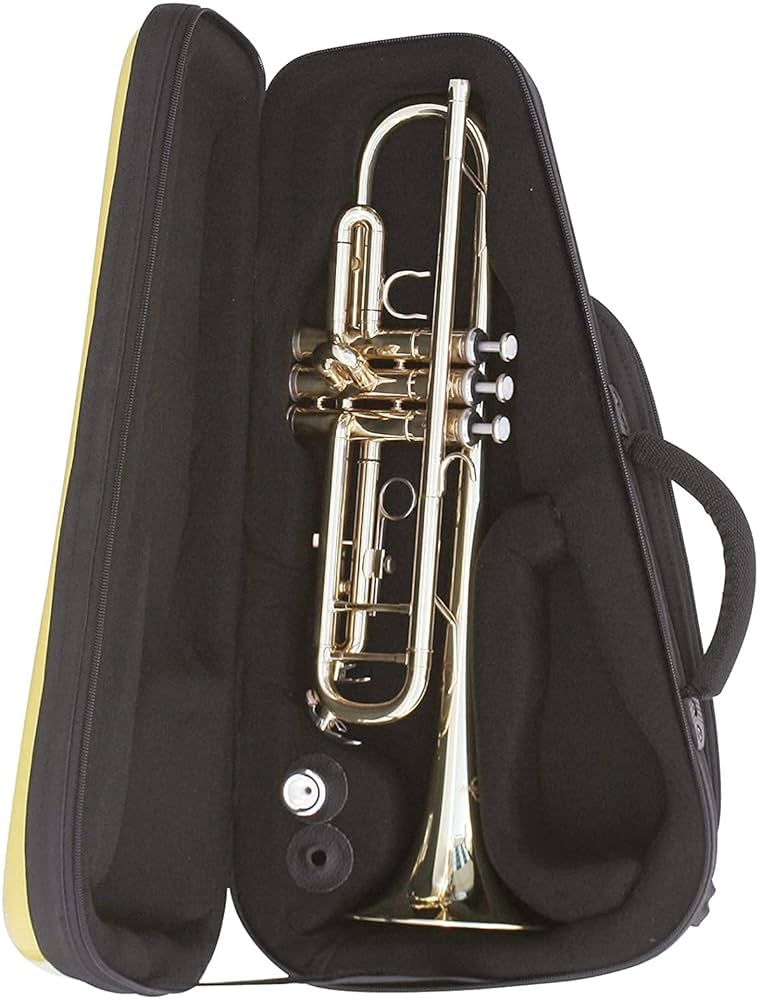 お米王子bags バッグス　EFTR M-Black ブラック 楽天市場】バッグス / EFTR M-BLK (メタリックブラック